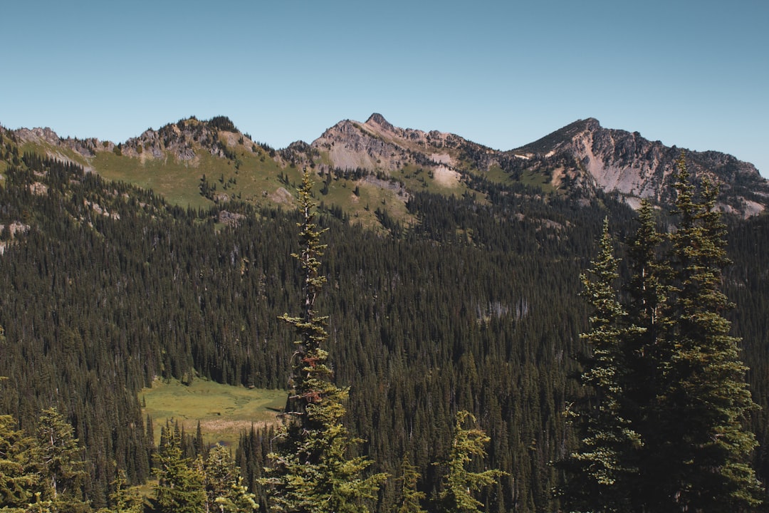 Entdecken Sie die atemberaubende Schönheit des Mount Rainier Nationalparks | Secret World Trip Planner