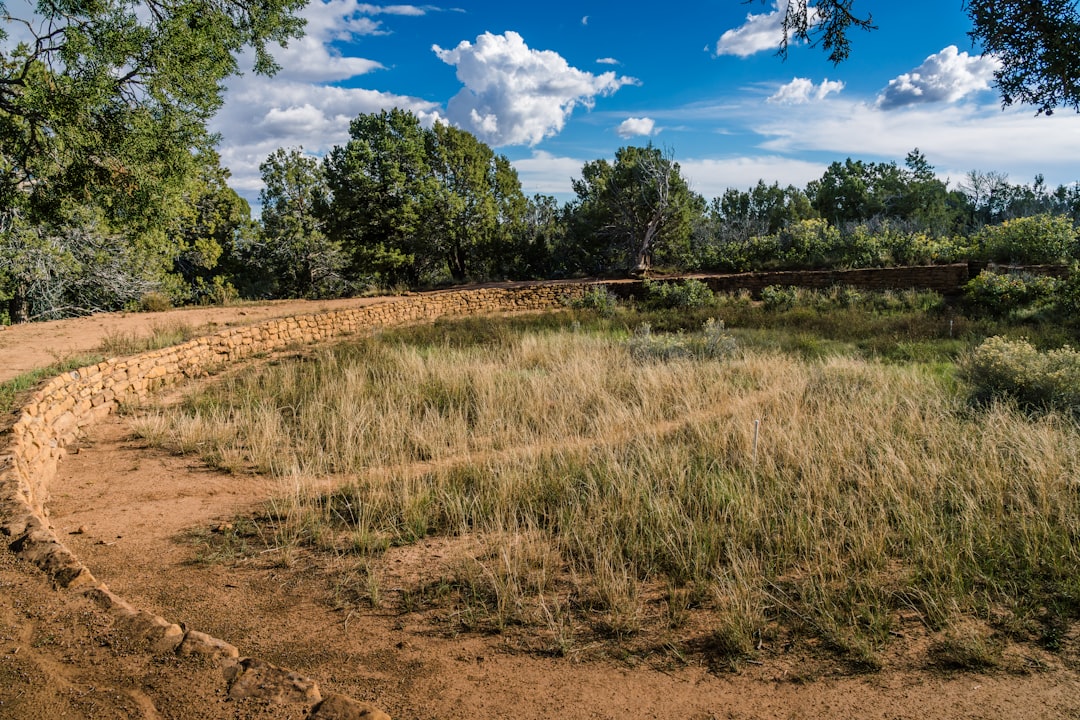 Mesa Verde Nationalpark erkunden: eine Reise in die Geschichte - Yulin | Secret World Trip Planner