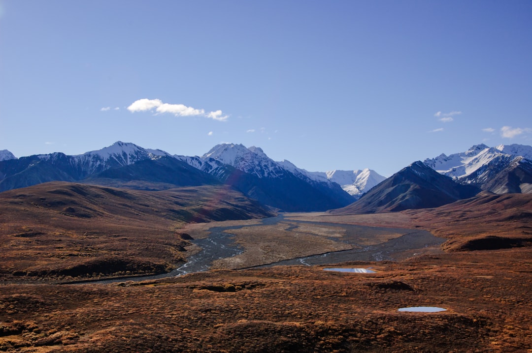 Explore the Wild Beauty of Denali National Park | Secret World Trip Planner