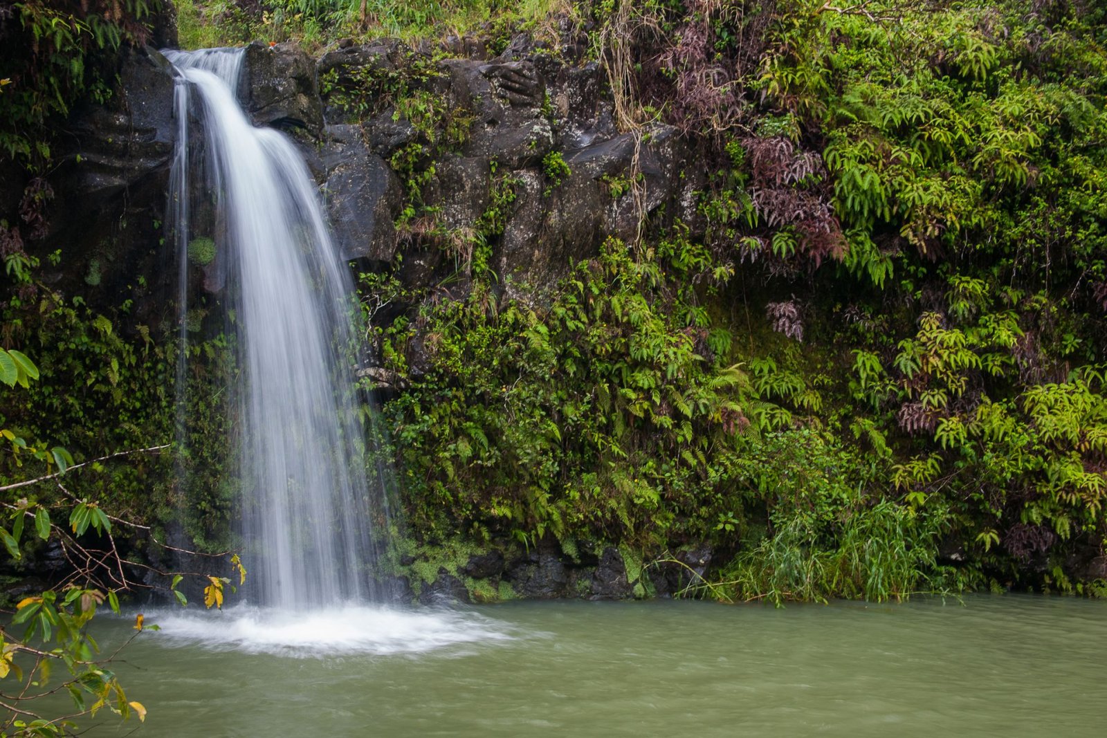 Scopri la Magia della Road to Hana: Esperienza Indimenticabile alle Hawaii