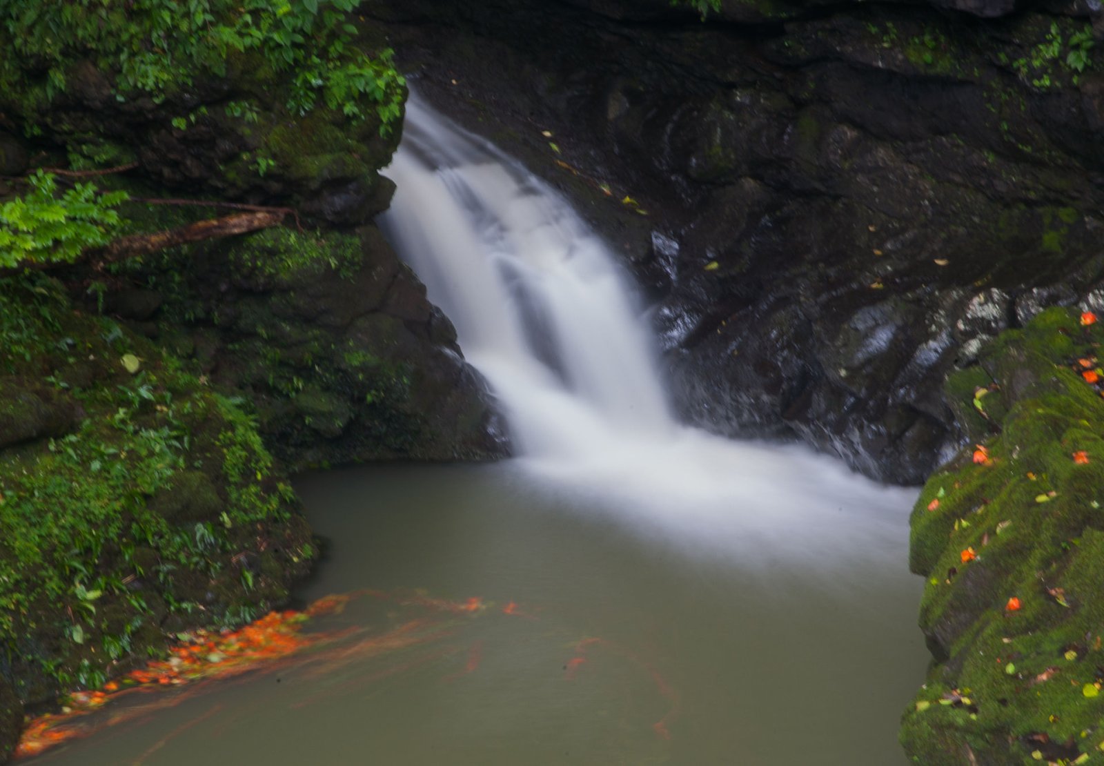Discover the Magic of the Road to Hana: Unforgettable Experience in Hawaii | Secret World Trip Planner