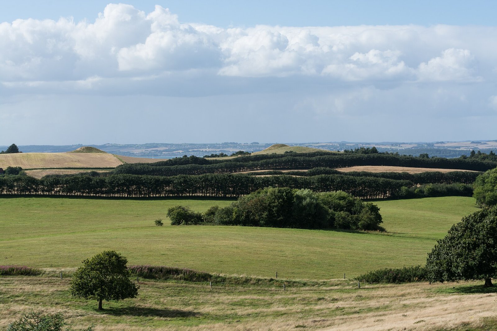 Discover Stabelhøje: The Bronze Age Tumuli in Denmark - Dybdalvej 9 | Secret World Trip Planner