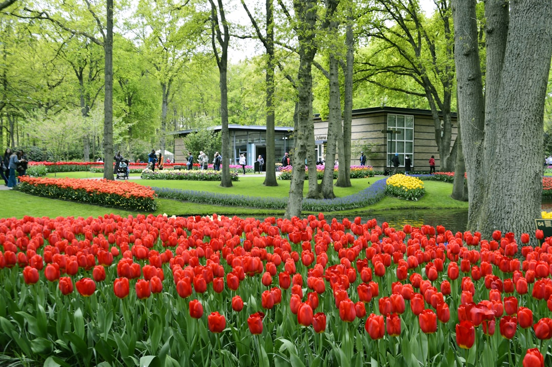 Keukenhof: Il Giardino dei Fiori più Grande del Mondo - Stationsweg 166A | Secret World Trip Planner