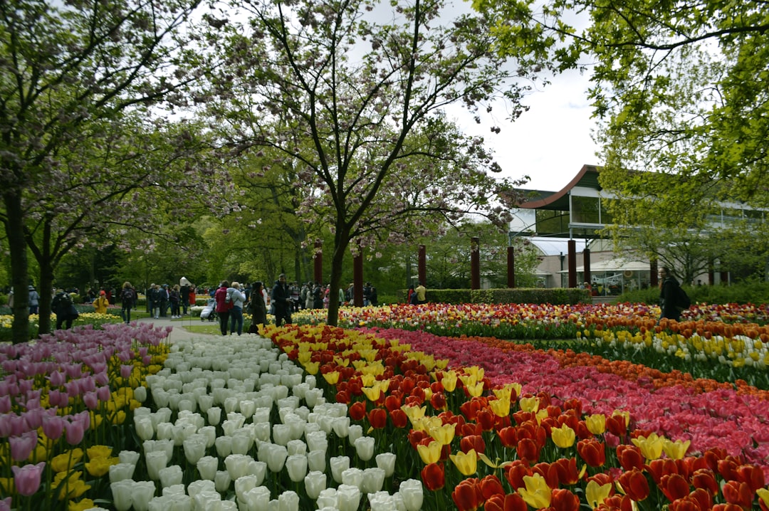 Keukenhof: The World's Largest Flower Garden - Stationsweg 166A | Secret World Trip Planner