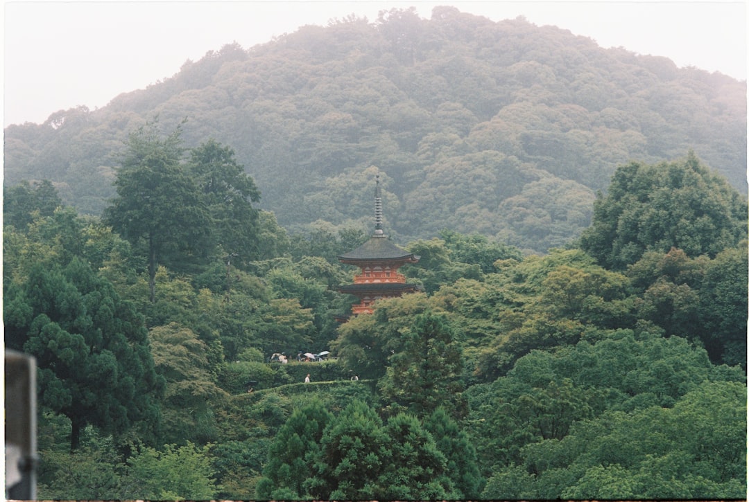 Karesansui: Die Magie der Zen-Gärten in Kyoto - Kyoto | Secret World Trip Planner