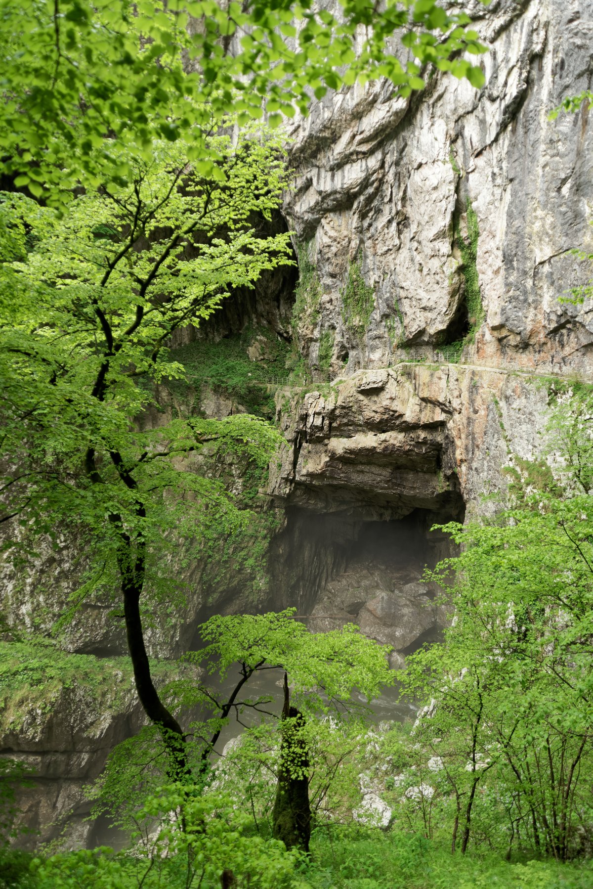 San Canziano Caves: Explore the Underground World - Matavun 12 | Secret World Trip Planner