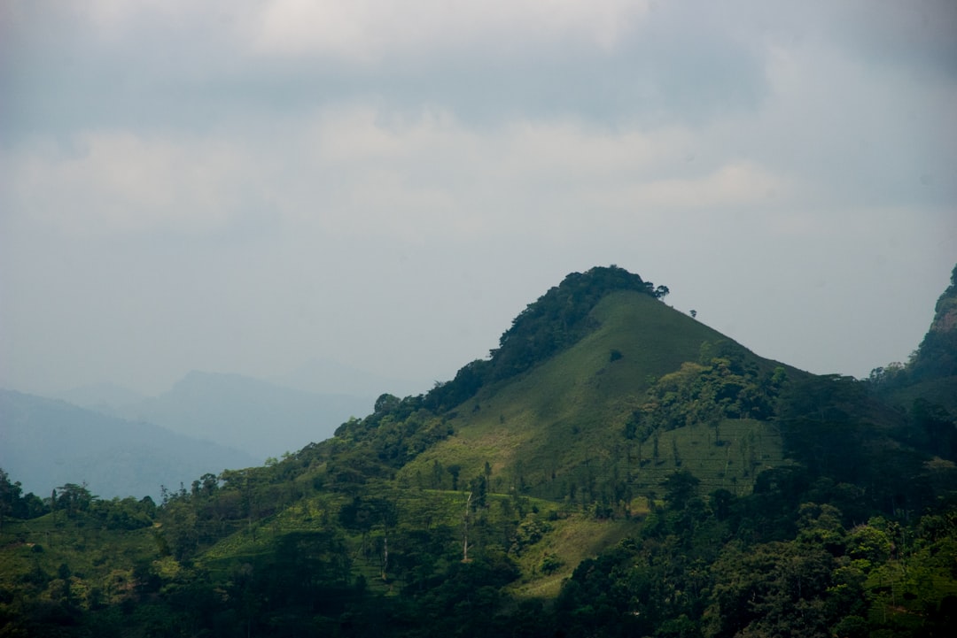 Single Tree Hill: un gioiello naturale nello Sri Lanka — Nuwara Eliya