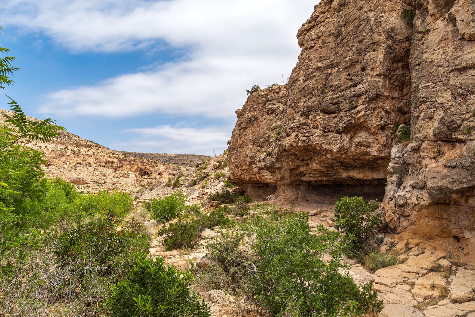 Entdecken Sie die Wunder der Carlsbad Caverns im New Mexico — Mianyang