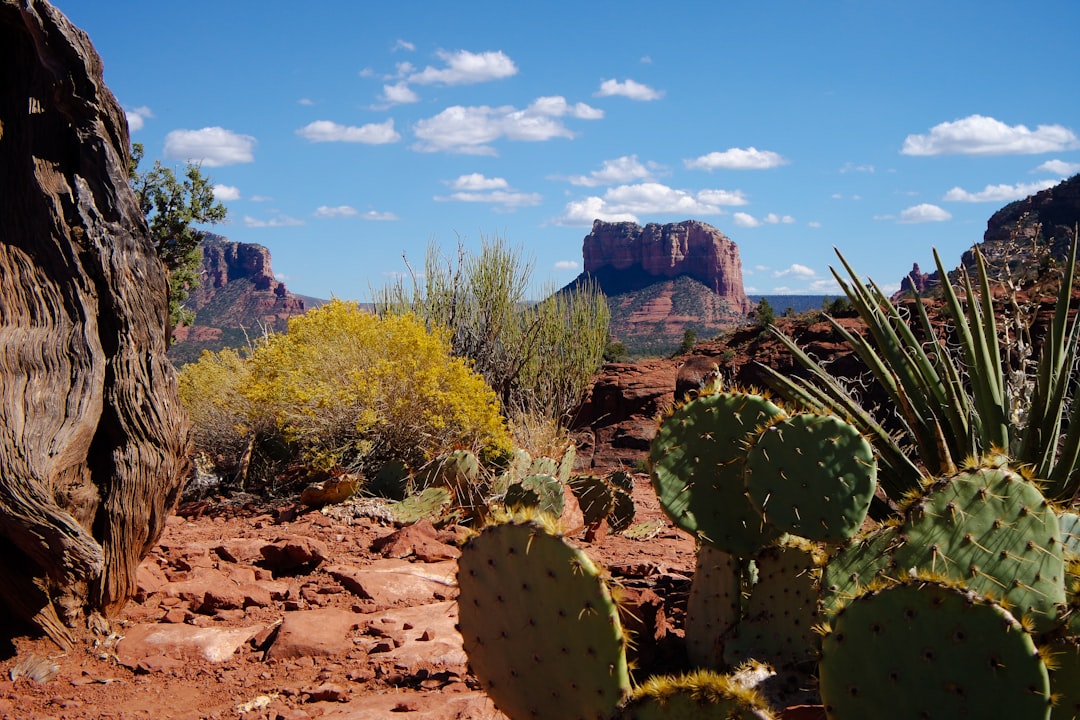 Scopri la Magia dei Sedona Red Rocks in Arizona - Sanmenxia | Secret World Trip Planner
