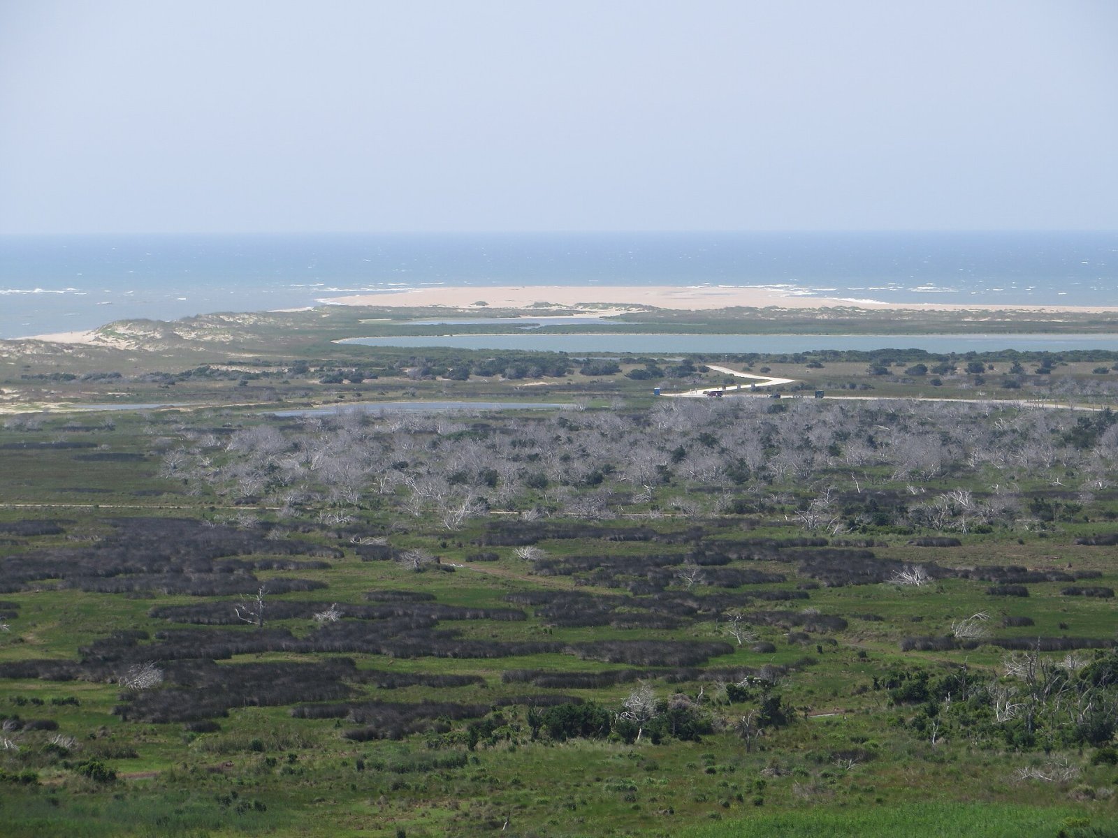 Discover Cape Hatteras National Seashore: A Natural Treasure of North Carolina