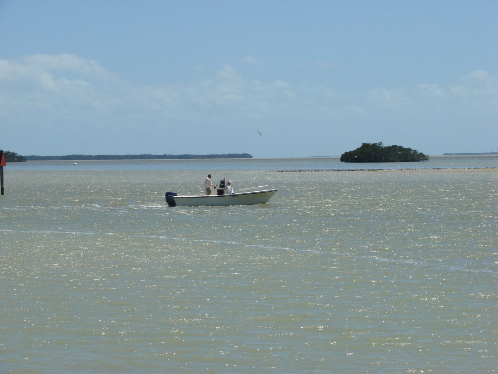 Entdecken Sie die Wunder des Everglades Nationalparks in Florida — Shitalpur Kaunhas