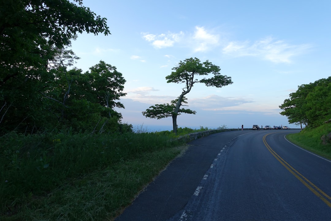 Entdecken Sie die Schönheit des Shenandoah Nationalparks in Virginia