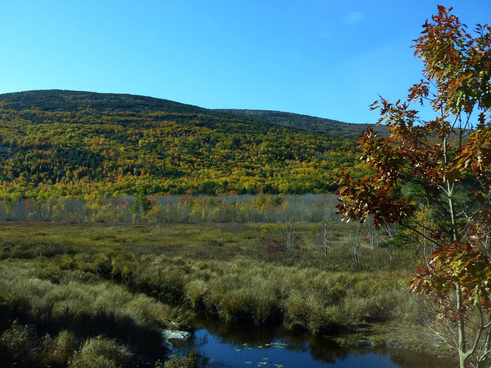Discover the Natural Beauty of Acadia National Park | Secret World Trip Planner