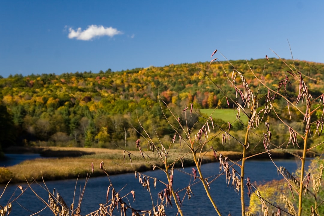 Vermont Fall Foliage: The Magic of Autumn in Stowe — FM8Q+44 Aral