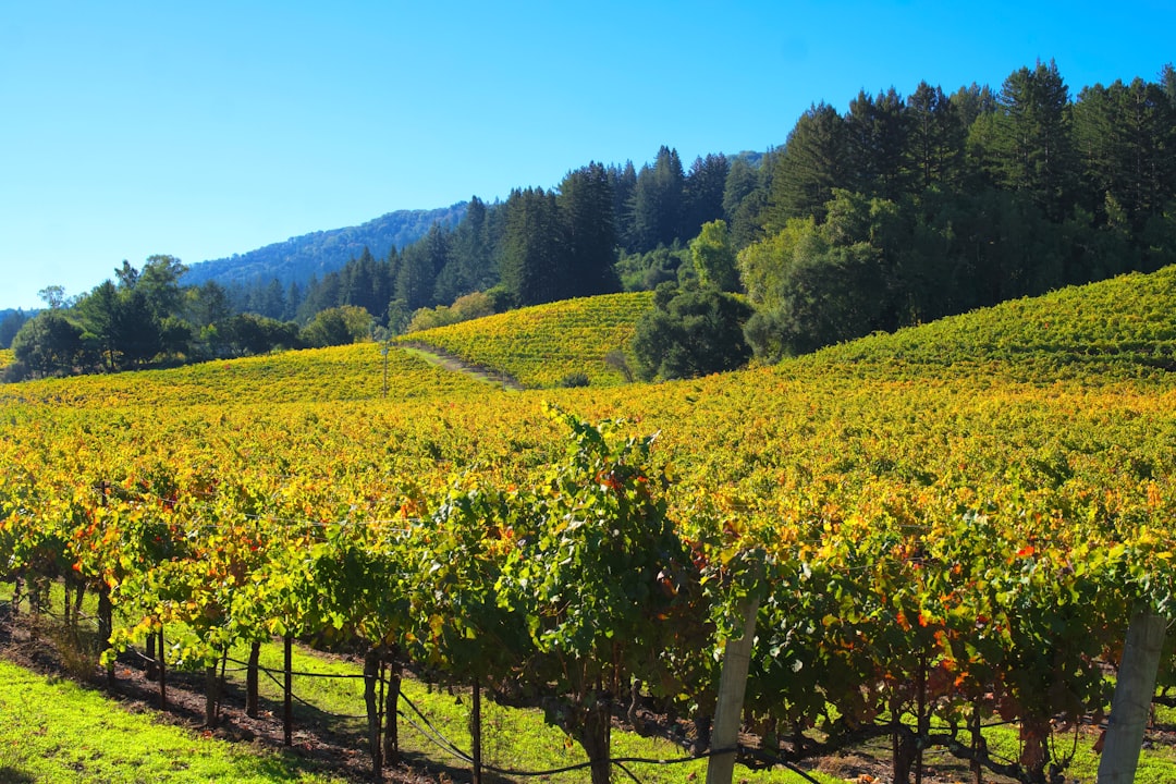 Discover the Finger Lakes Wine Trail in Watkins Glen, New York