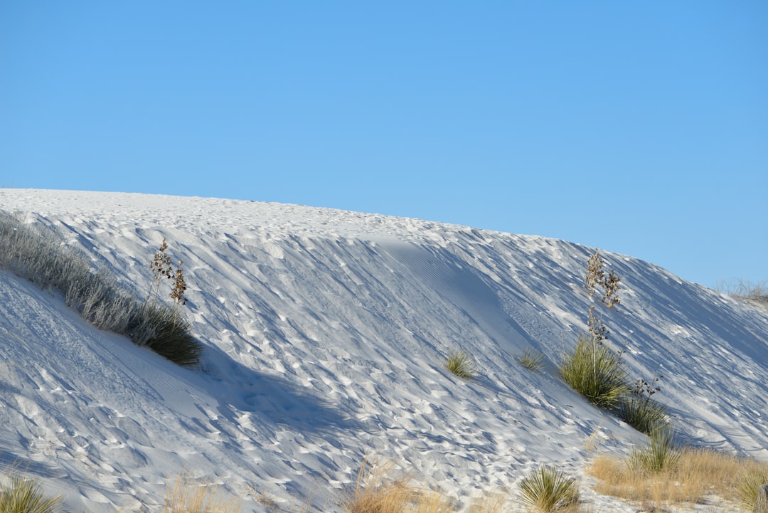 Entdecken Sie die natürlichen Wunder der Sleeping Bear Dunes