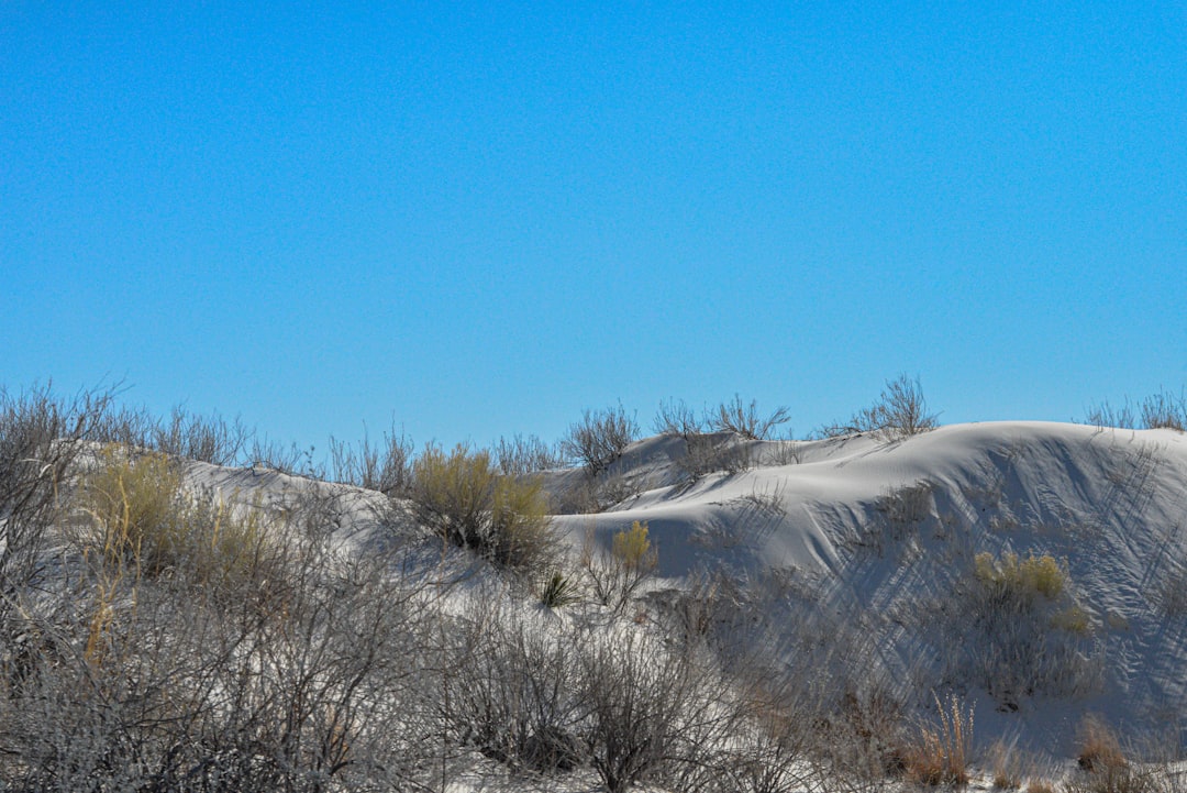 Entdecken Sie die natürlichen Wunder der Sleeping Bear Dunes | Secret World Trip Planner
