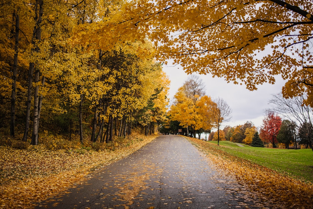 Discover Door County: An Enchanted Corner of Wisconsin