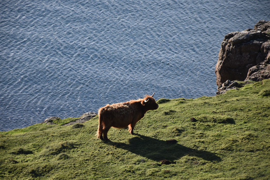 Isle of Mull: Ein Naturparadies in Westschottland