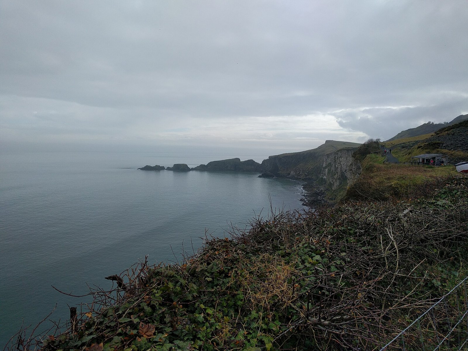 Entdecken Sie die Carrick-a-Rede Seilbrücke: Ein Abenteuer in Nordirland | Secret World Trip Planner