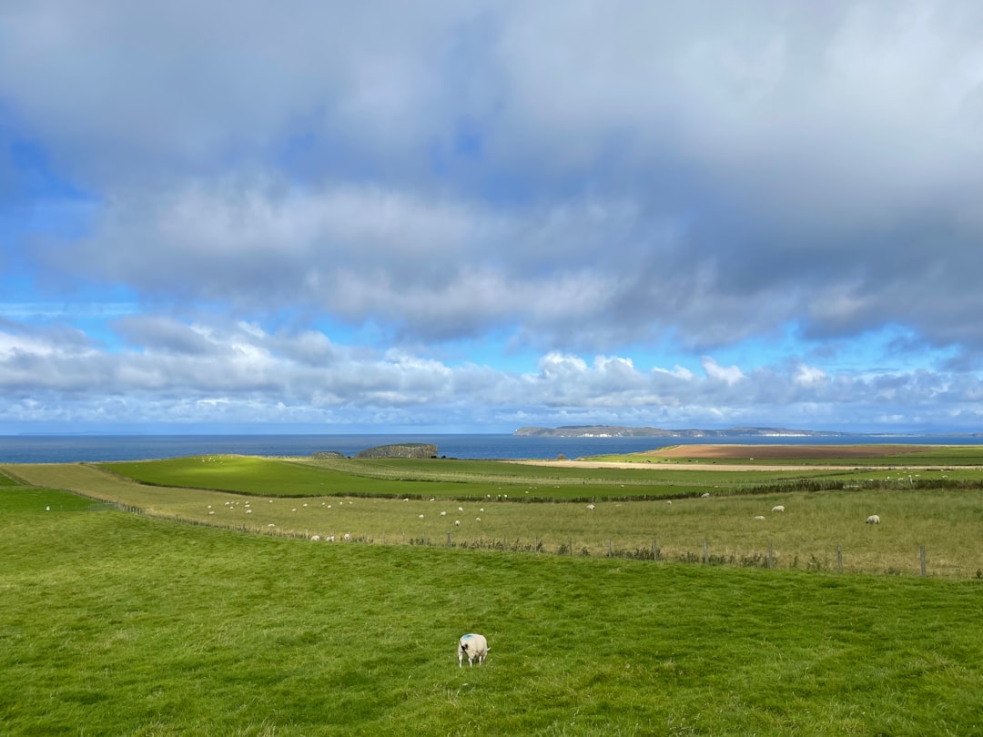 Scopri la Causeway Coast: un gioiello naturale in Irlanda del Nord