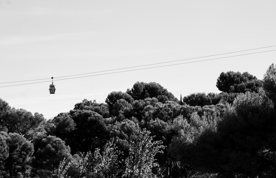 Discover Montjuïc: the Green Lung of Barcelona — Barcelona