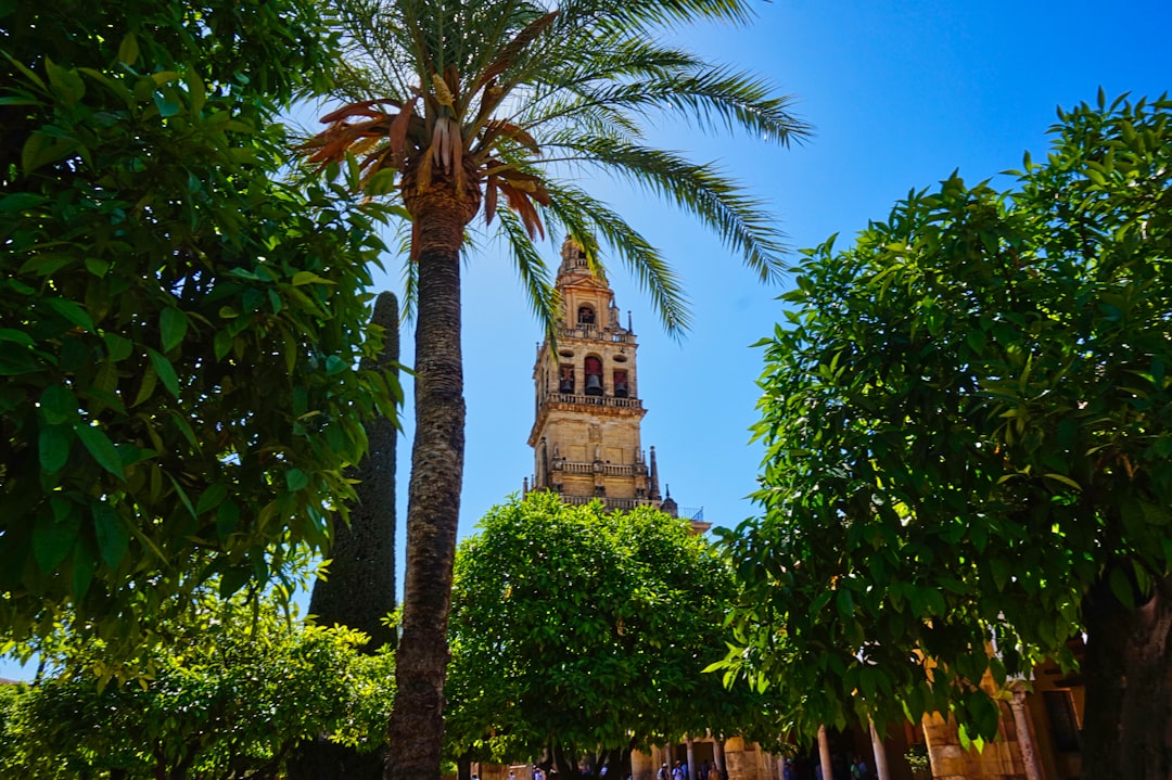 Discover the Magic of Medina Azahara: History and Beauty of Córdoba | Secret World Trip Planner
