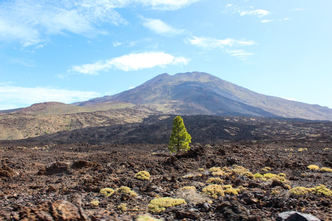 Scopri il Parco Nazionale del Teide: un gioiello naturale delle Canarie