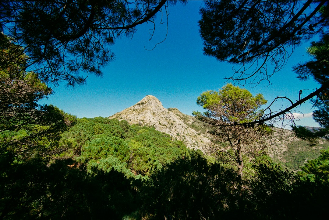 Entdecken Sie den Nationalpark Garajonay auf La Gomera | Secret World Trip Planner