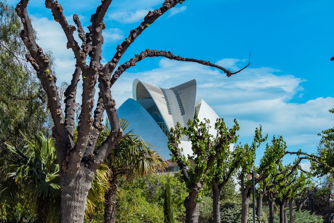 Discover Valencia's City of Arts and Sciences