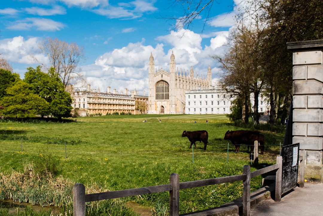 Entdecken Sie die Cambridge Backs: Ein Ort der Natur und Kultur - 6427+XV Cambridge | Secret World Trip Planner