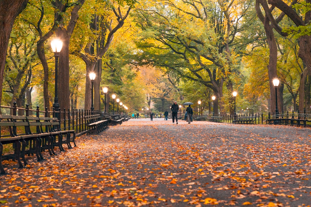 I Gate di Christo e Jeanne-Claude a Central Park - New York | Secret World Trip Planner