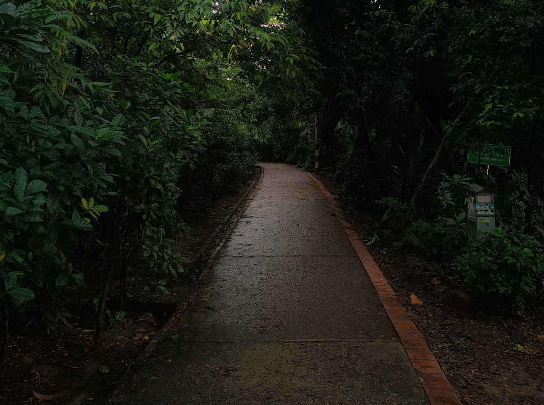 Il Sentiero del Gigante: Arte e Natura in Armonia - 44 Causeway Rd | Secret World Trip Planner