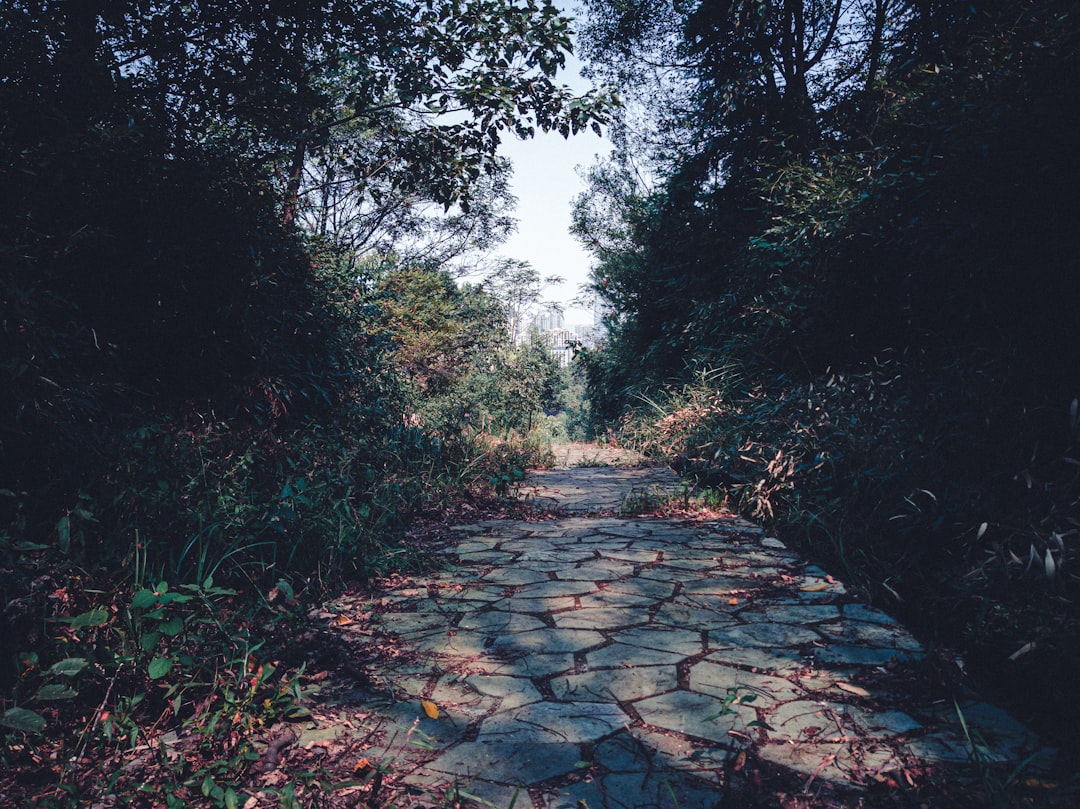 The Giant's Path: Art and Nature in Harmony - 44 Causeway Rd | Secret World Trip Planner