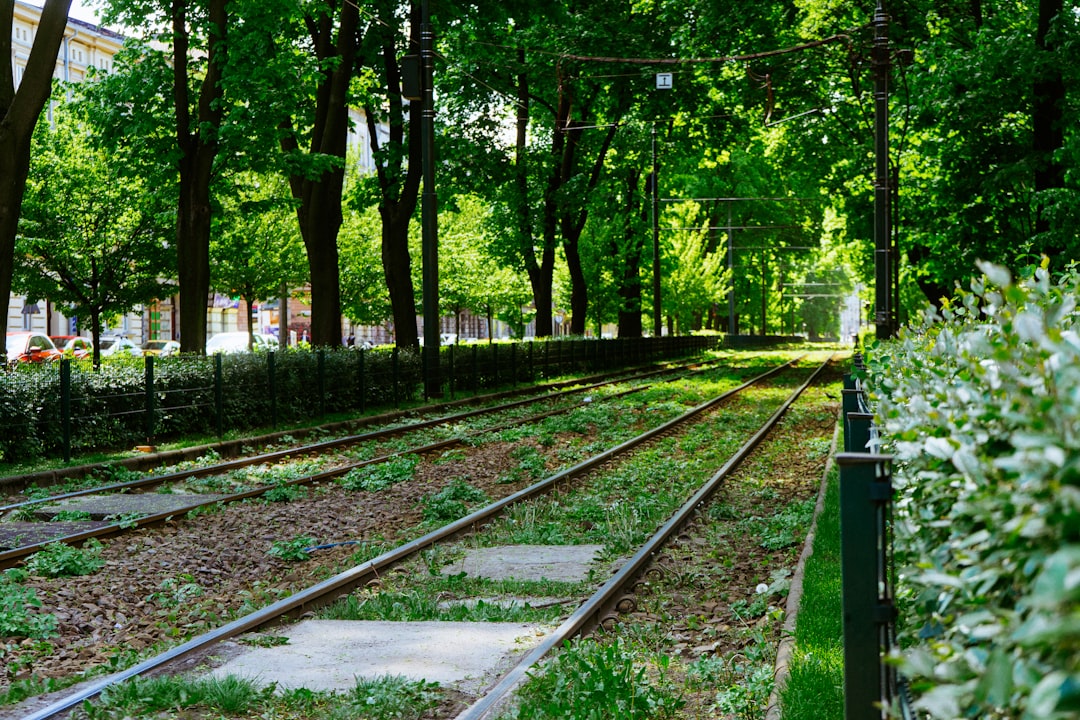 Strzelecki Park: Arte Contemporanea nel Verde di Kraków — Zygmunta Augusta 7