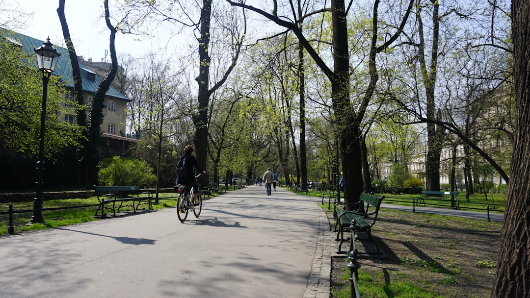 Strzelecki Park: Arte Contemporanea nel Verde di Kraków - Zygmunta Augusta 7 | Secret World Trip Planner