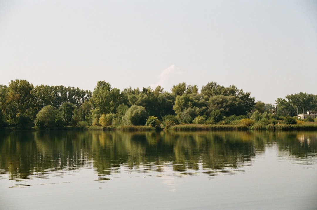Strzelecki Park: Contemporary Art in Kraków's Greenery - Zygmunta Augusta 7 | Secret World Trip Planner