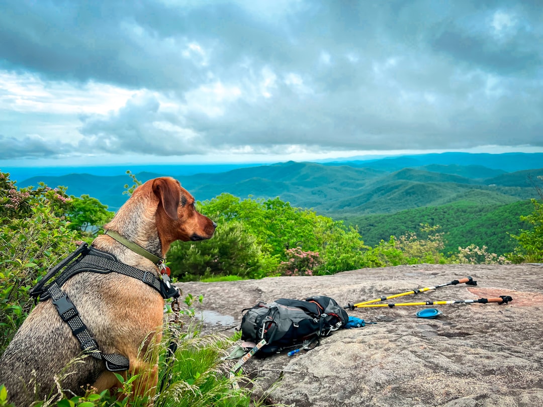 Entdecke den Appalachian National Scenic Trail - Appalachian National Scenic Trail | Secret World Trip Planner