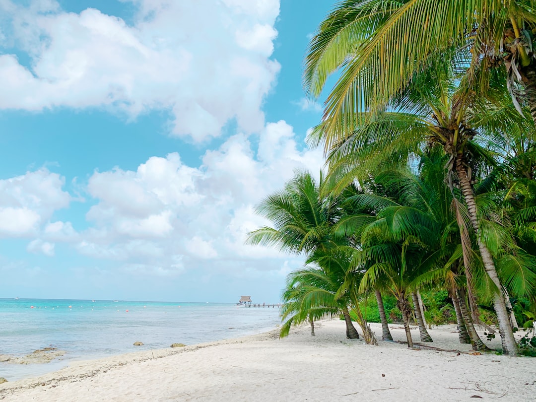 Cozumel: Un Paradiso Isolano nel Cuore del Caribe - Cozumel | Secret World Trip Planner