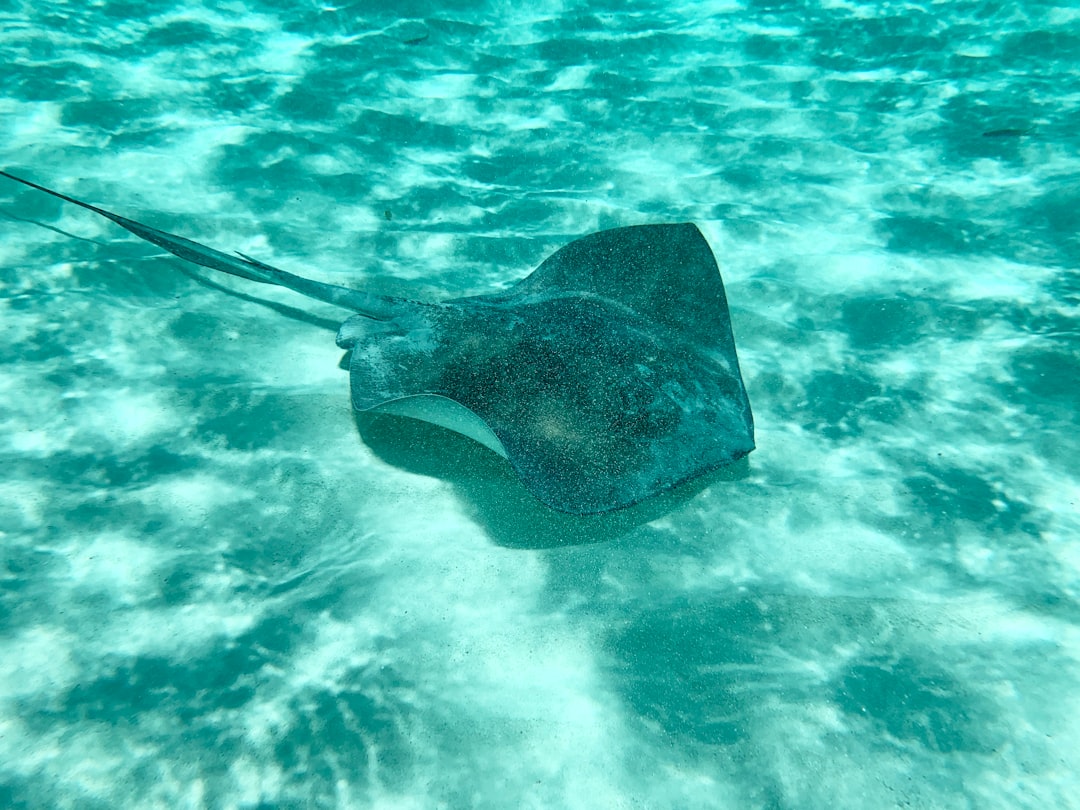 Cozumel: Ein Inselparadies im Herzen der Karibik - Cozumel | Secret World Trip Planner