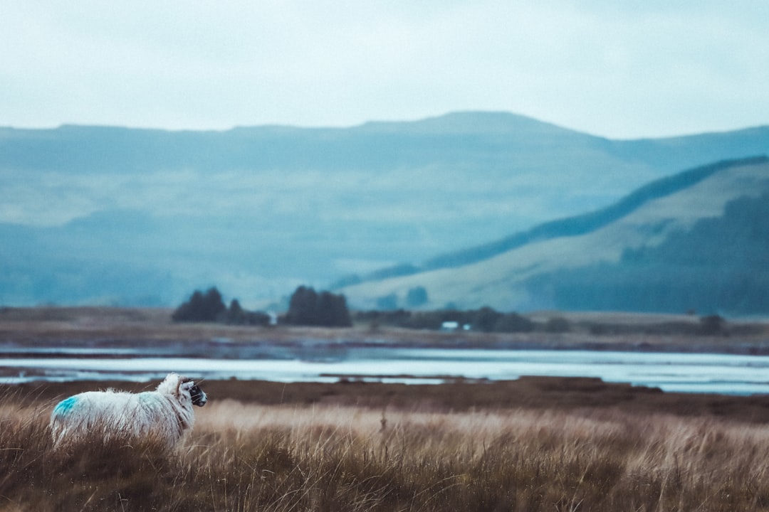Mull: Die wilde Insel Schottlands — Mull
