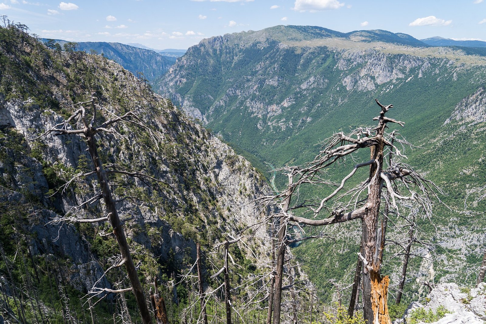 Entdecken Sie den Reiz des Tara-Canyons in Montenegro - Tepca | Secret World Trip Planner