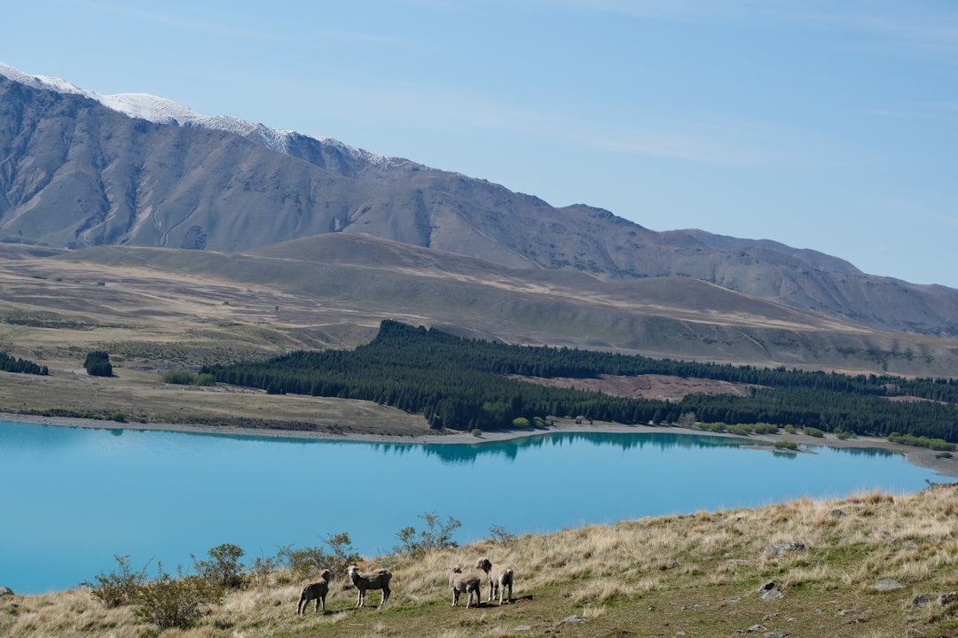 Stargazing at Mt John Observatory: A Celestial Experience - Tekapo 7999 | Secret World Trip Planner