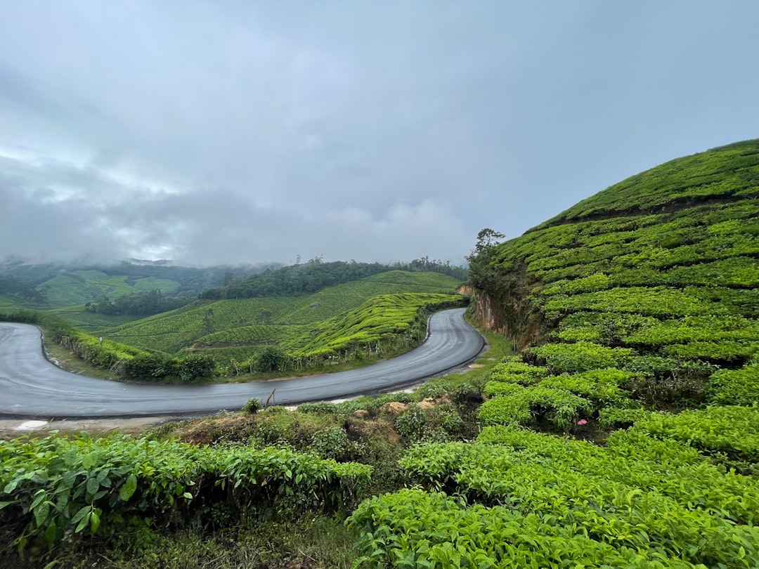 Munnar: A Paradise Among the Tea Plantations - Munnar | Secret World Trip Planner