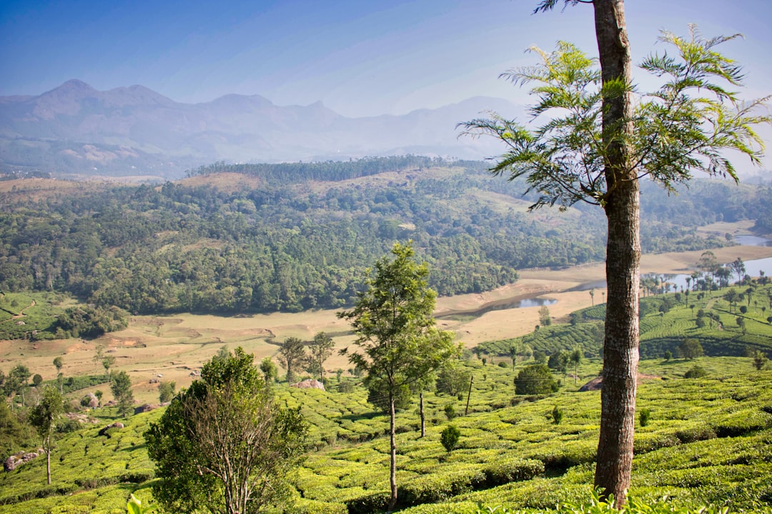 Munnar: Ein Paradies zwischen Teeplantagen - Munnar | Secret World Trip Planner
