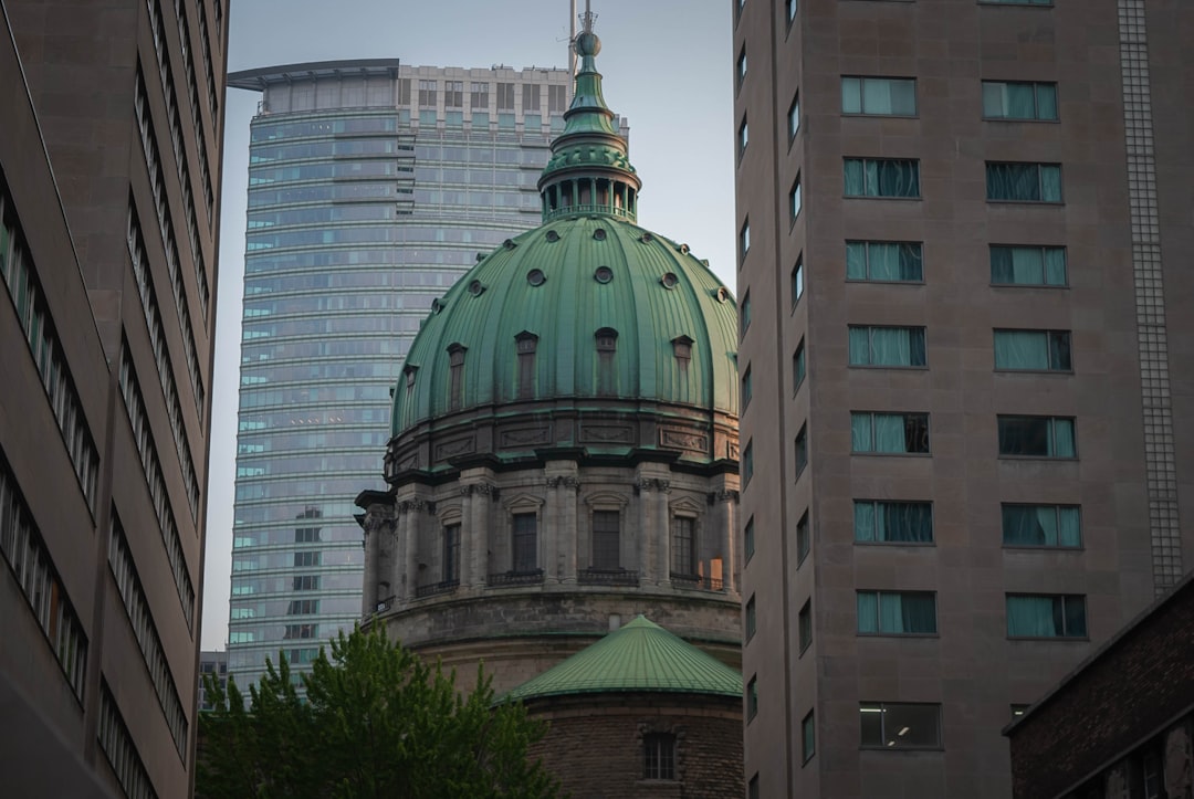 Montreal Museum of Fine Arts: Un Palazzo di Storia e Arte - Montréal | Secret World Trip Planner