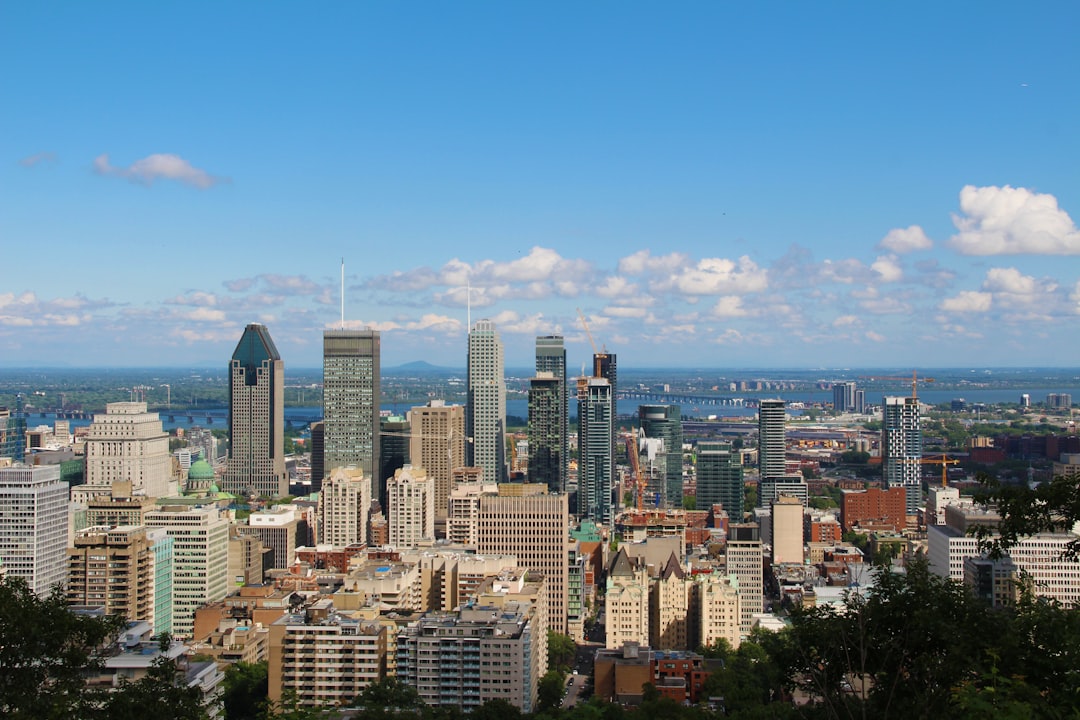 Montreal Museum of Fine Arts: A Palace of Art and History — Montréal