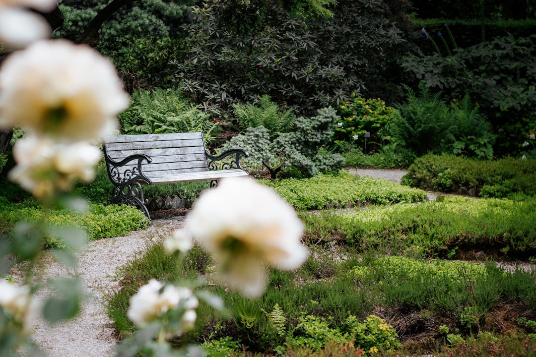 Scopri il Parco Giardino Sigurtà: un Paradiso Verde — 1