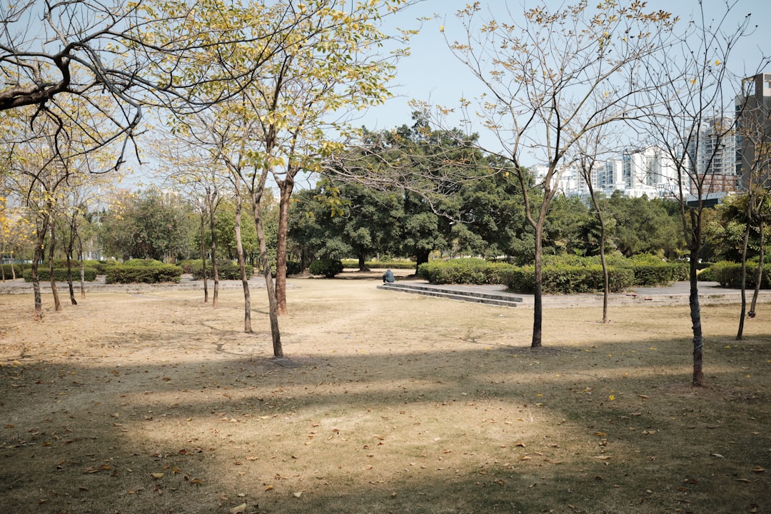 Scopri il Parco Giardino Sigurtà: un Paradiso Verde - 1 | Secret World Trip Planner
