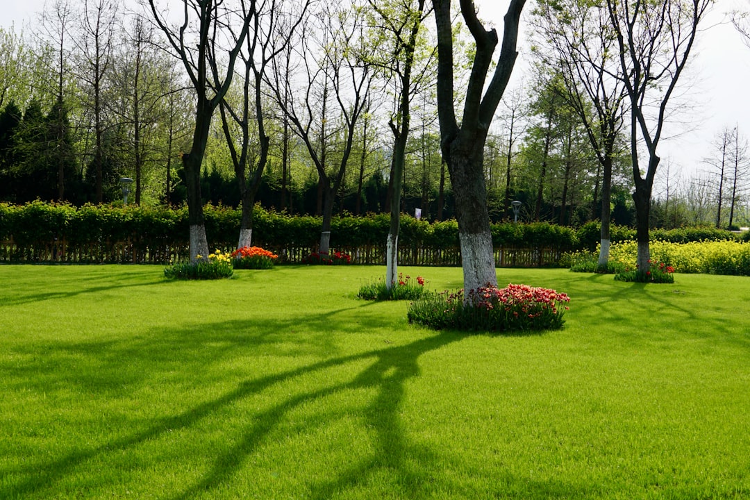 Discover Sigurtà Garden Park: A Green Paradise - 1 | Secret World Trip Planner
